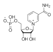 Beta-Nicotinamide Mononucleotide; coenzyme NMN;