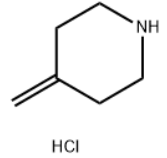 4-Methylenepiperidine HCl 