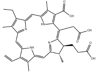 CHLORIN E6