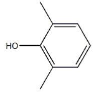 Poly(p-phenylene Oxide)