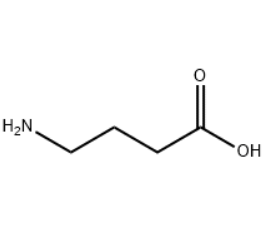 Gamma Aminobutyric