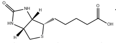 BIOTIN