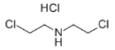 Bis(2-chloroethyl)amine Hydrochloride